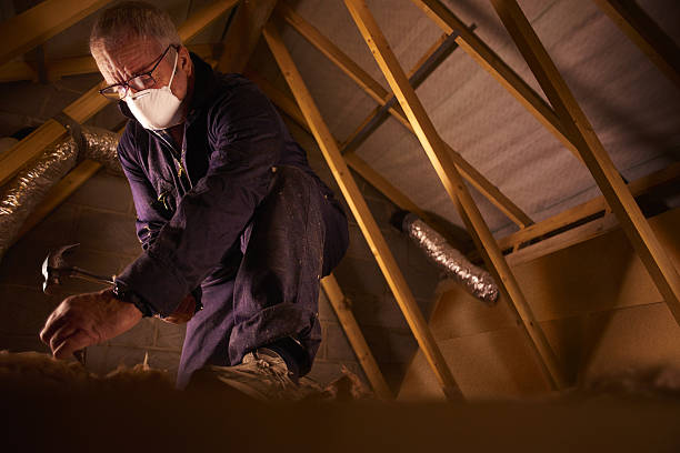 Best Professional Insulation Contractor  in Franklinton, LA